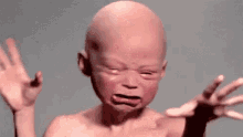 tenor[1].gif