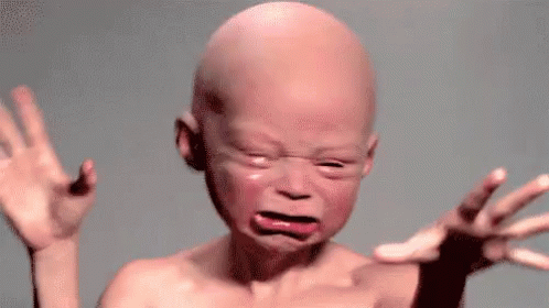 tenor[1].gif