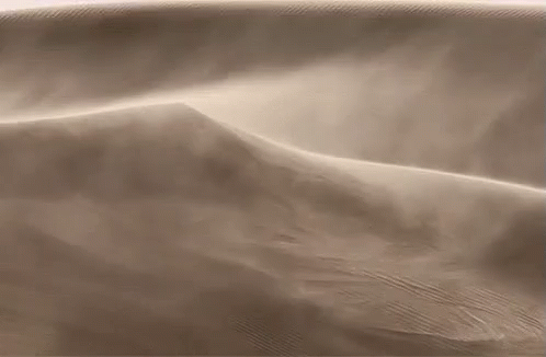 tenor (14).gif