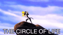 tenor (18).gif