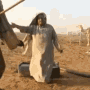 tenor (19).gif