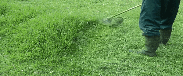 tenor (19).gif