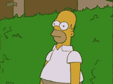 tenor (3).gif