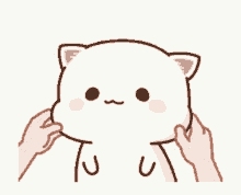 tenor-31.gif