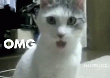 tenor (40).gif