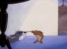 tenor (5).gif