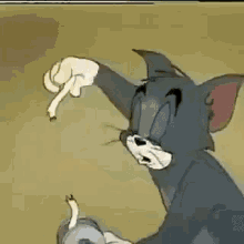 tenor (7).gif
