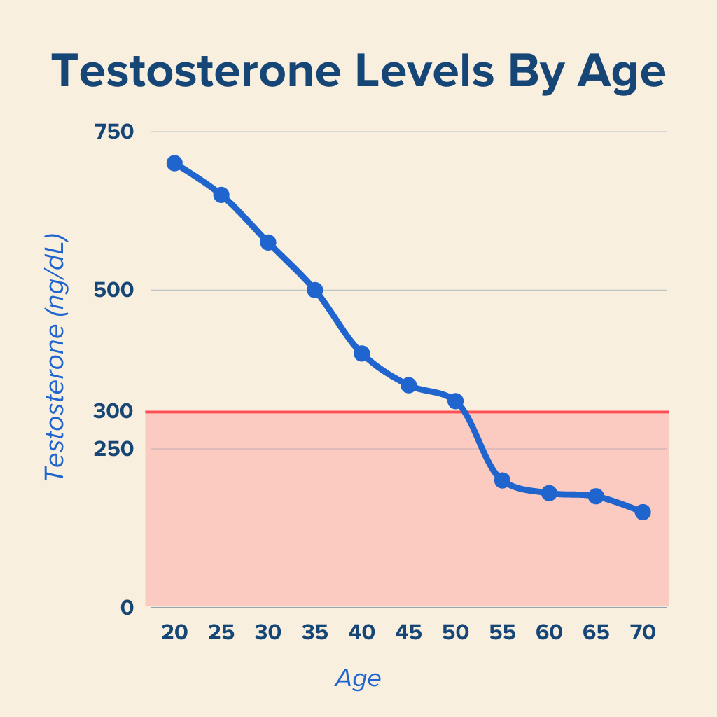 Testosterone-Levels-By-Age-Chart-1024x1024.png