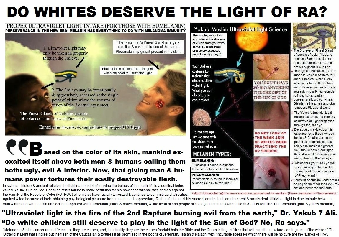 tf1b-dwdtlor.jpg
