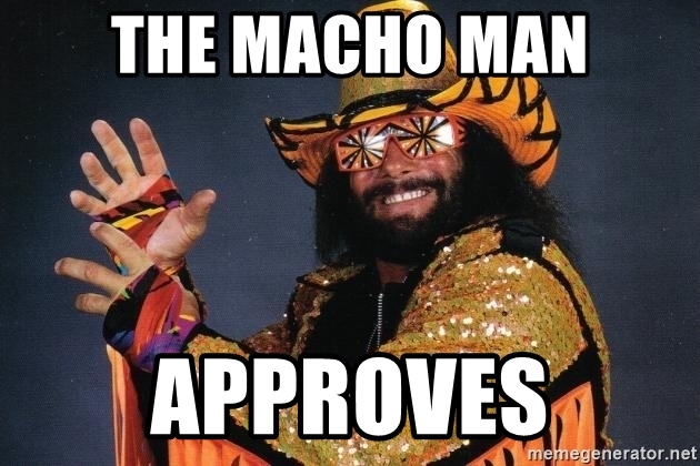 the-macho-man-approves.jpg