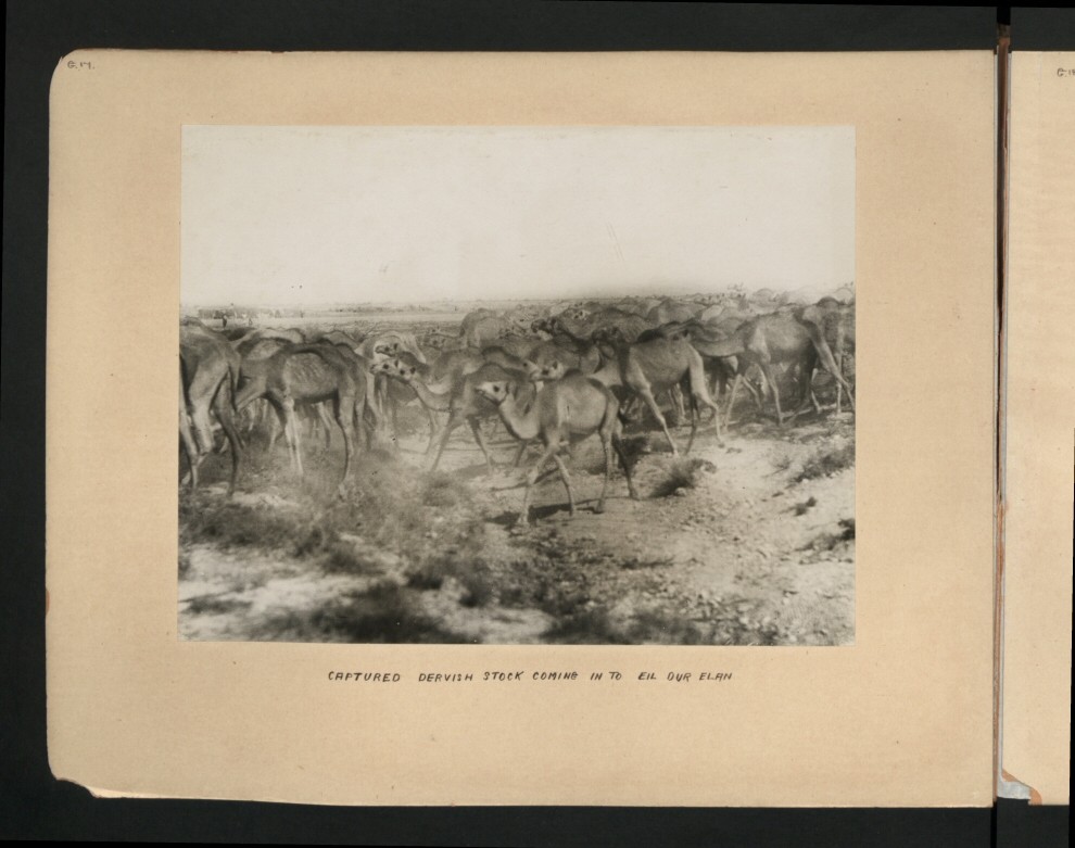 The_National_Archives_UK_-_CO_1069-8-60.jpg
