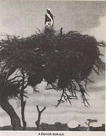 The_scout_of_Darawiish_head_of_intelligence,_Serar_Shawe (1).jpg