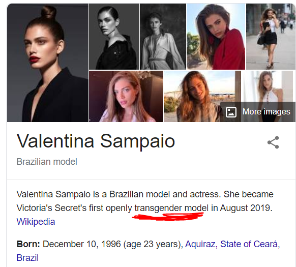 Tranny 2.PNG