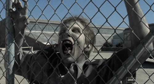 tumblr_m032tzfSCn1qzi80do1_500.gif