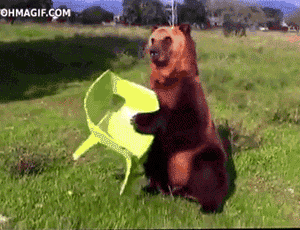 tumblr_mnn8t3KnQ11r3gb3zo1_400.gif