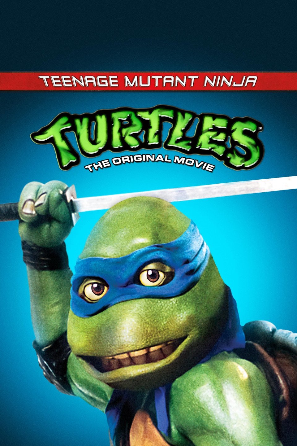 turtle.jpg