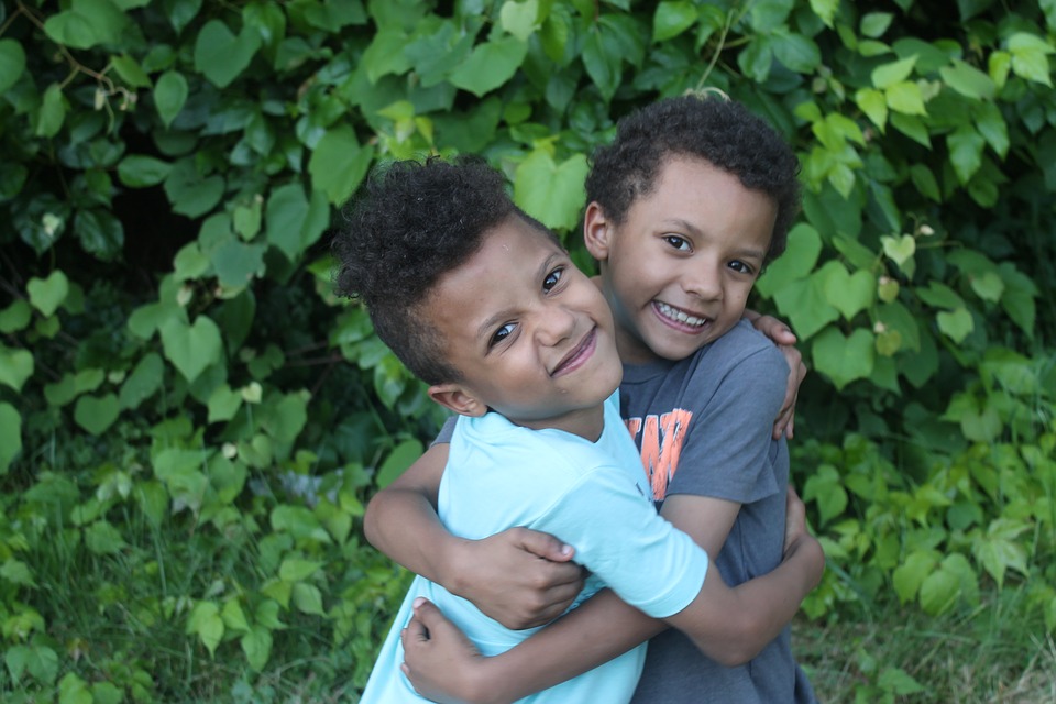 twins-2670823_960_720.jpg