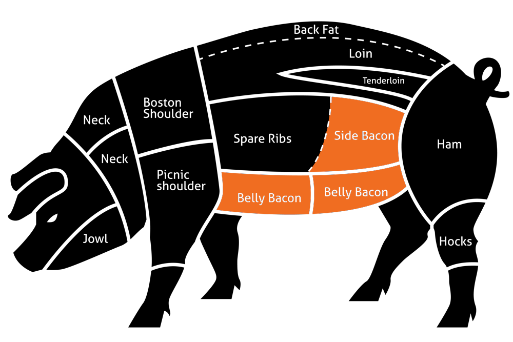 types-of-bacon-cuts-of-pork1.png
