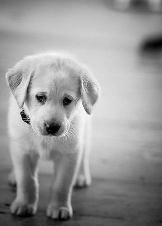 upload_2017-7-31_22-6-55.png