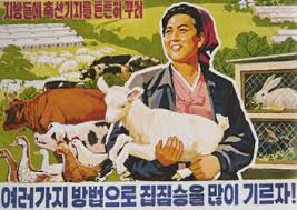 upload_2017-8-3_7-36-46.png