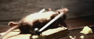 upload_2018-9-2_23-24-39.gif