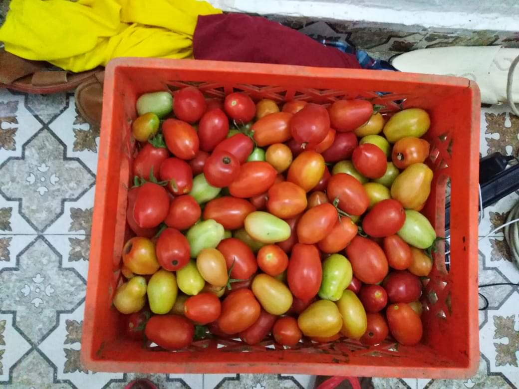 upload_2019-1-30_14-53-16.png