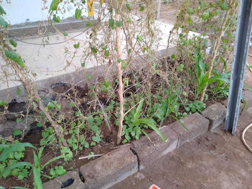 upload_2019-1-30_14-54-44.png