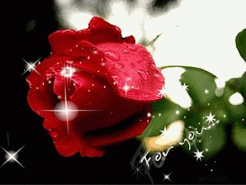 upload_2019-2-15_20-20-8.gif