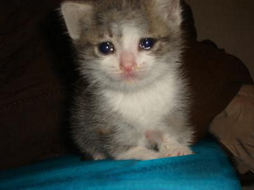upload_2019-3-12_19-29-10.jpeg