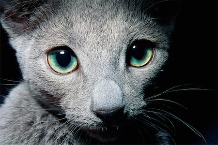 upload_2019-3-18_8-35-56.jpeg