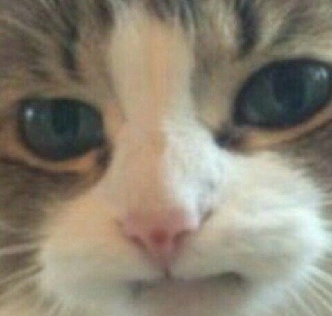 upload_2019-3-20_14-39-11.jpeg