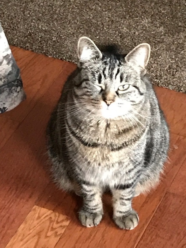 upload_2019-3-20_7-54-59.jpeg
