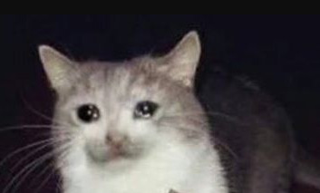 upload_2019-3-27_16-20-24.jpg
