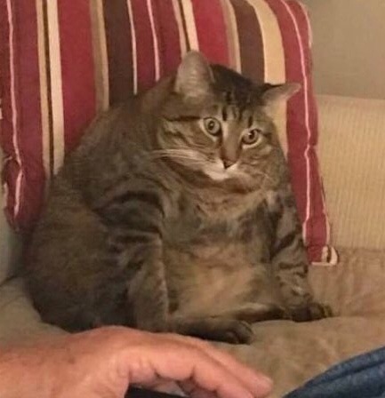 upload_2019-3-2_12-23-54.jpg