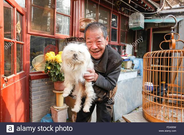 upload_2019-3-3_21-49-16.jpeg