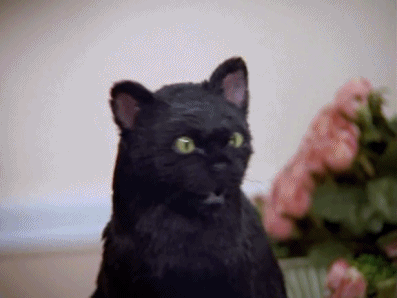 upload_2019-3-9_14-12-27.gif