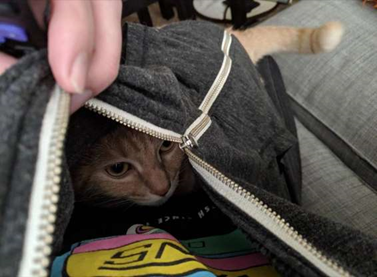 upload_2019-4-22_15-50-53.png
