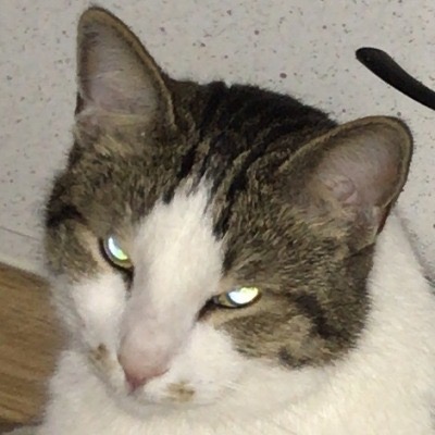 upload_2019-4-22_16-42-32.jpeg