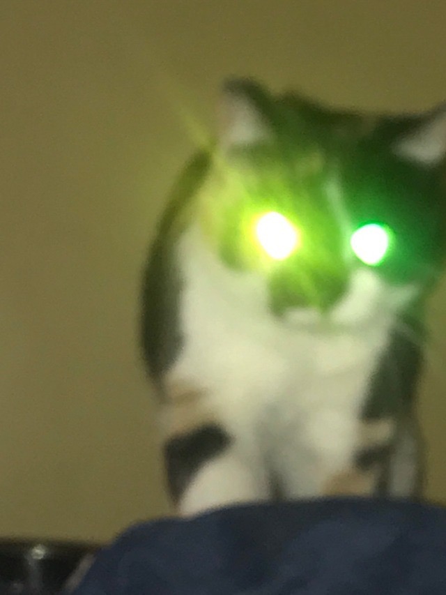 upload_2019-4-22_16-45-21.jpeg