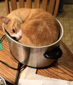 upload_2019-4-22_16-8-17.png