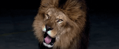 upload_2020-3-8_13-25-31.gif