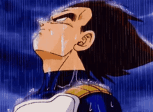 v213.gif