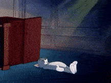 VagueFlawlessAntlion-max-1mb.gif