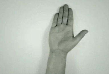 vcDinef.gif