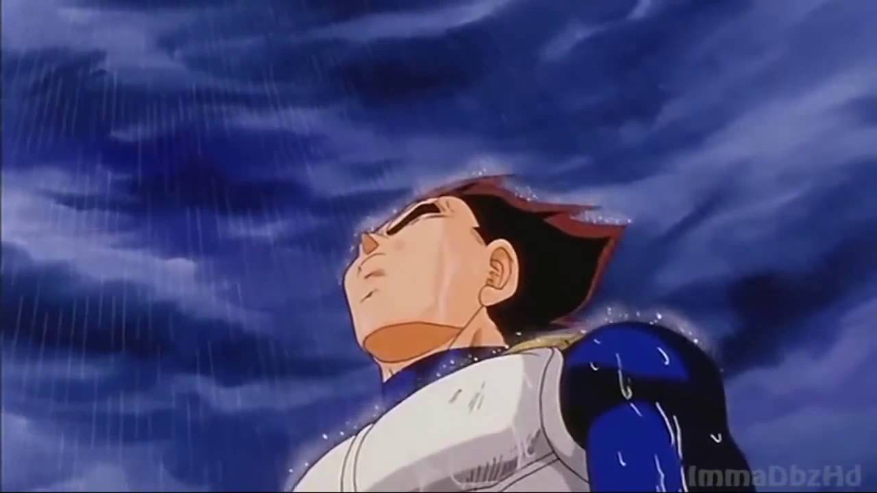 vegetacrying.jpg