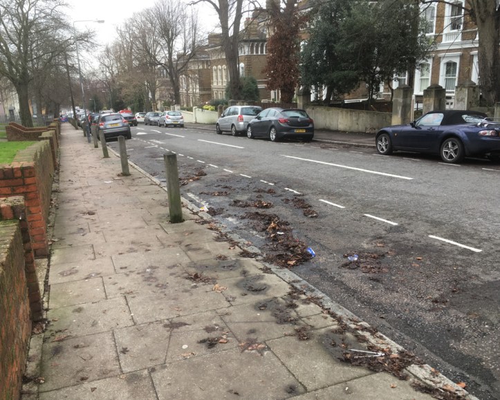 victoria_way1000.jpg