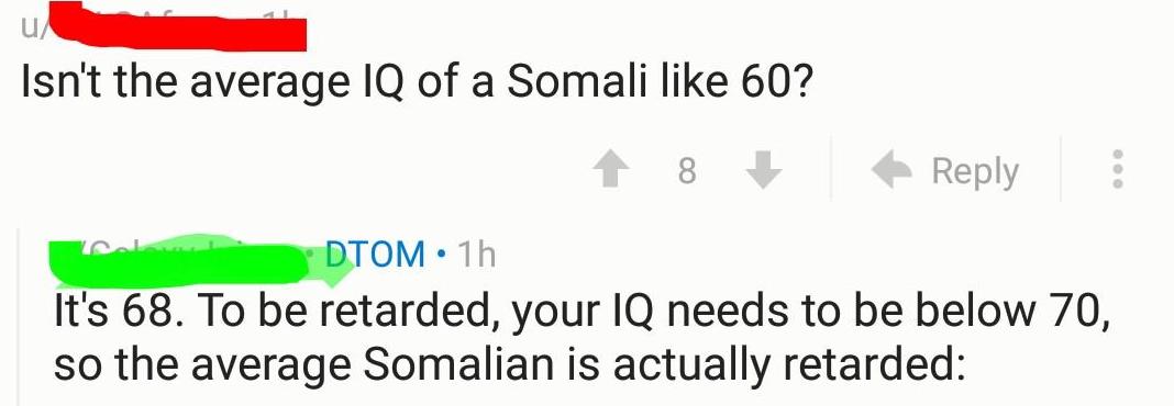 vli6qjh8o56z.jpg