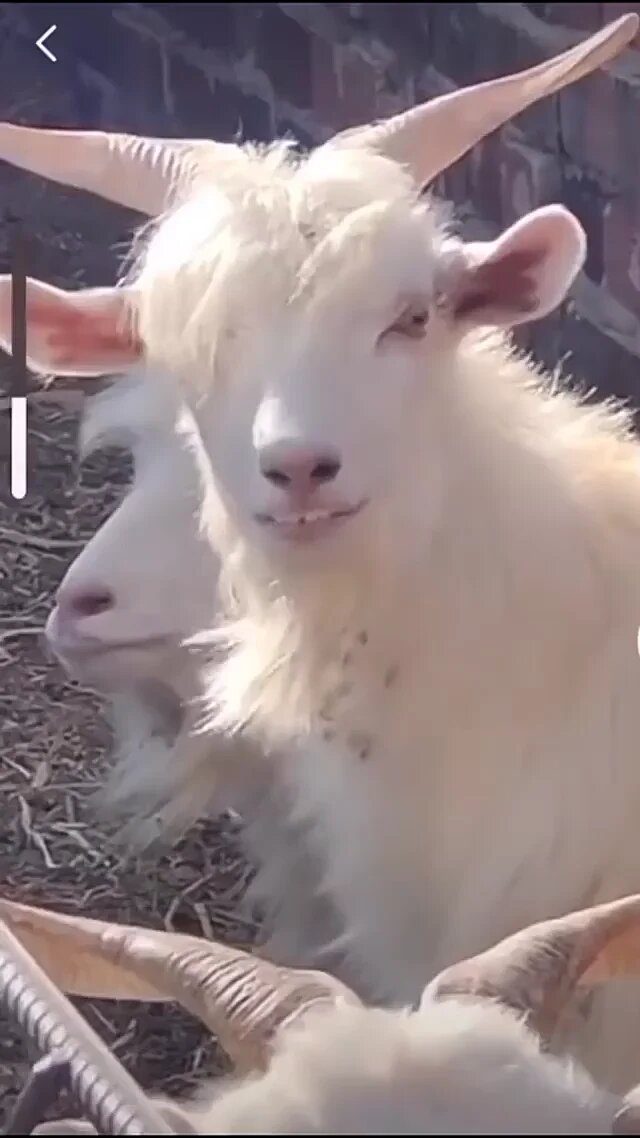 vtHHVA2MGBKEFjDccbMZ7c0j6Zu4p5bKck-yhNZKb70.jpg