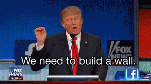 wall-donald-trump.gif