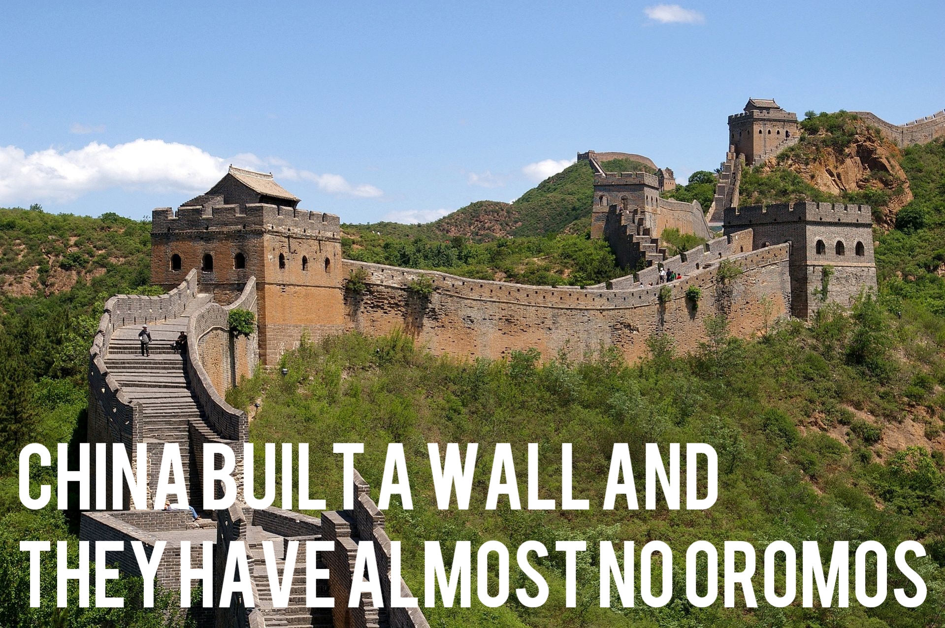 Wall.jpg